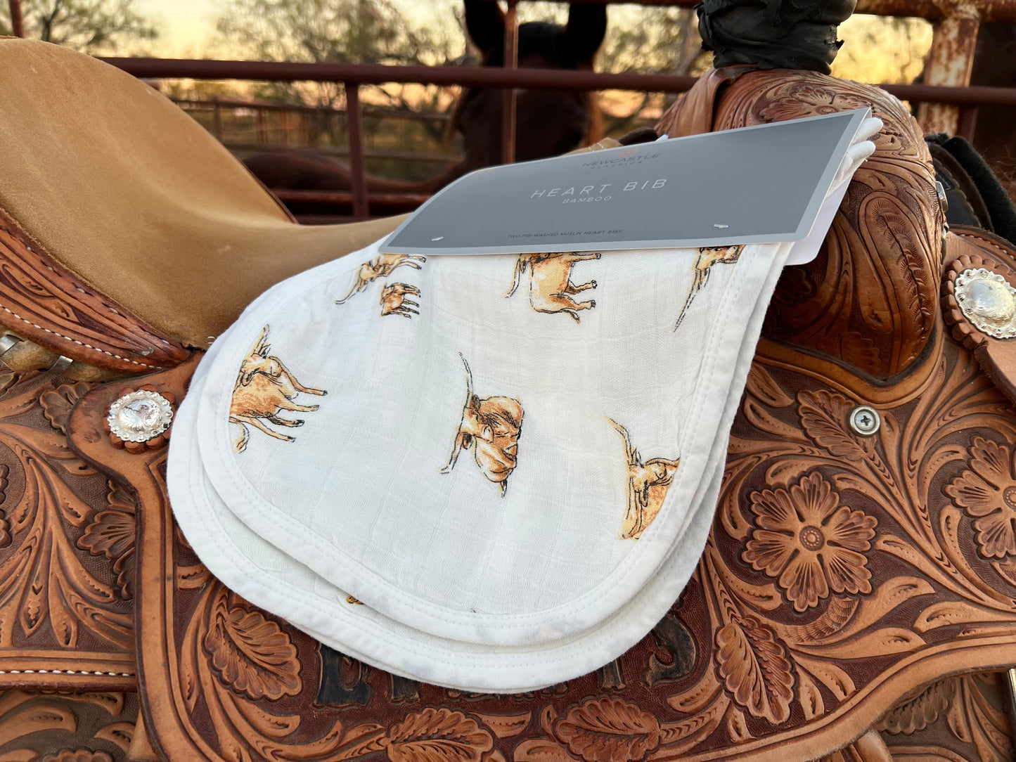 On The Range Burp Cloth Heart Bibs 2-Pack