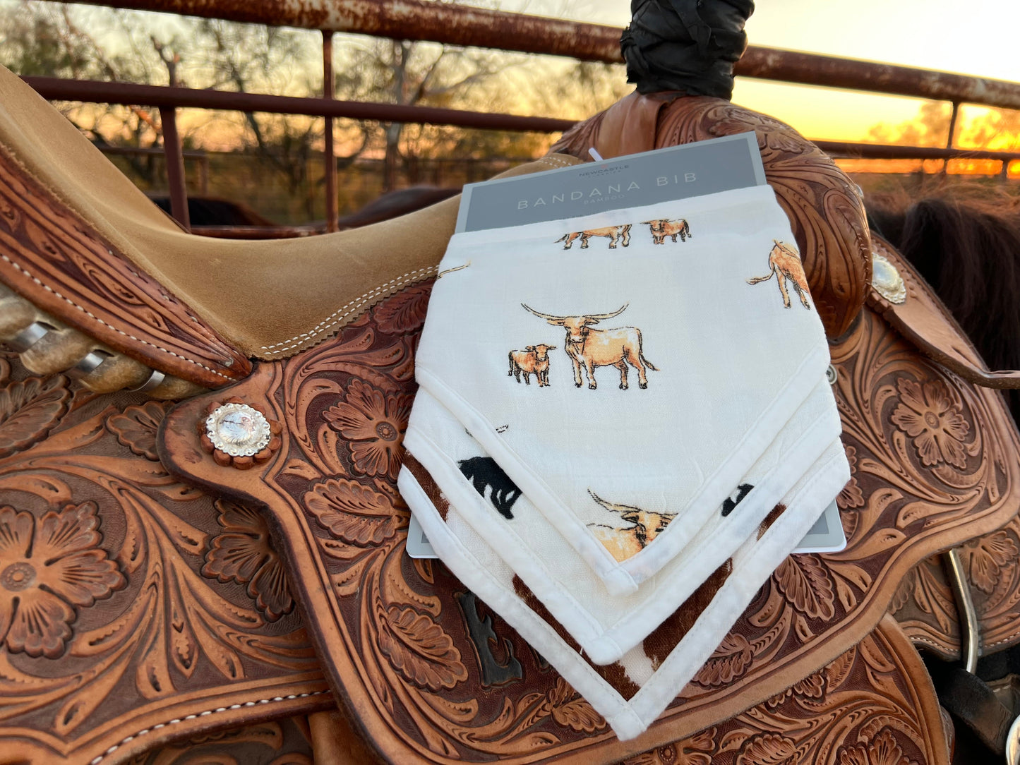 On The Range Bandana Bibs 3-Pack
