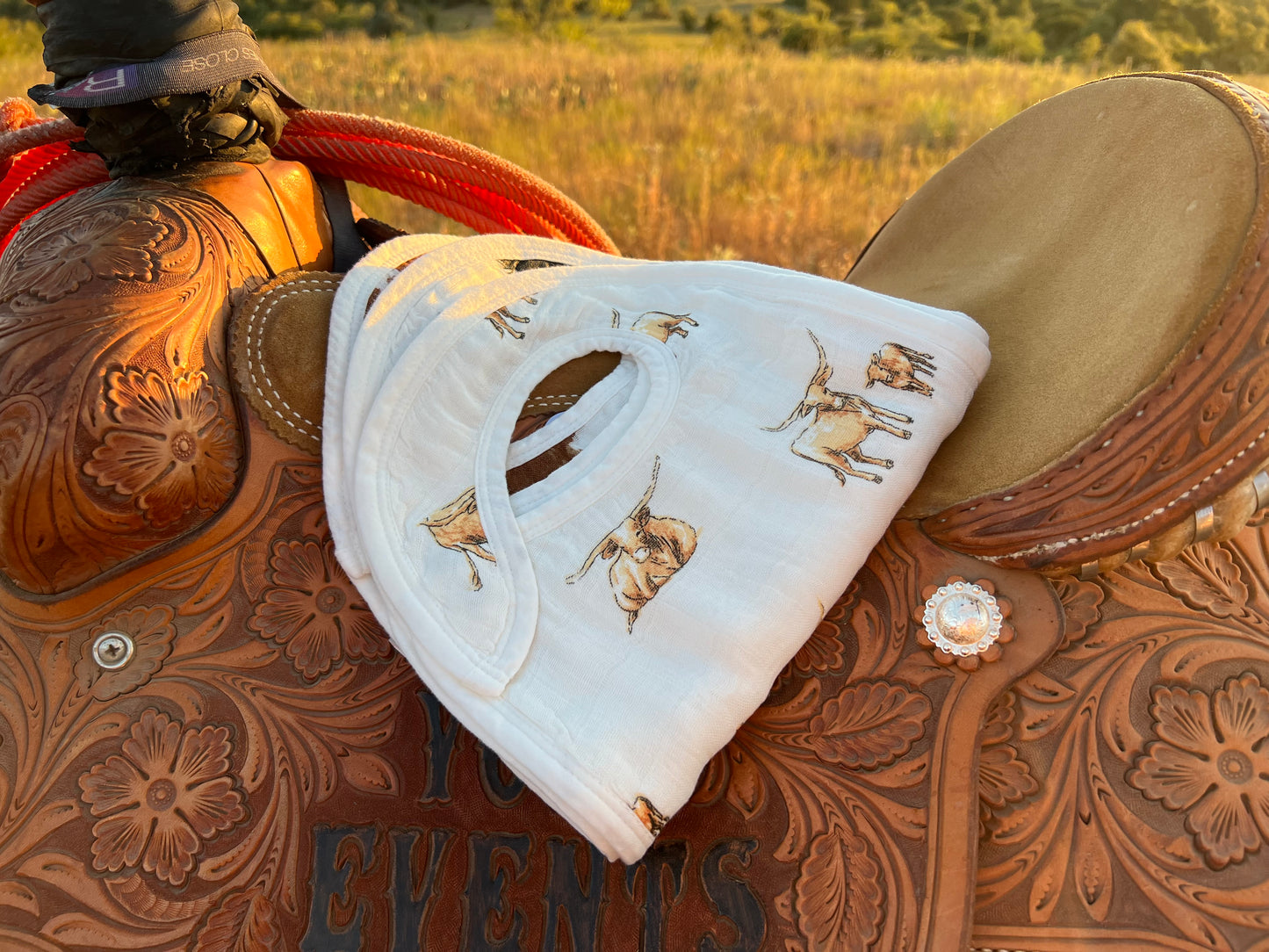 On The Range Snap Bibs 3-Pack